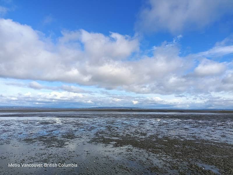 Boundary Bay Regional Park - Image 1
