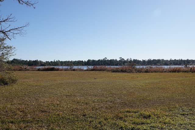Highlands Hammock State Park, Seven Lakes Picnic Area - Image 3