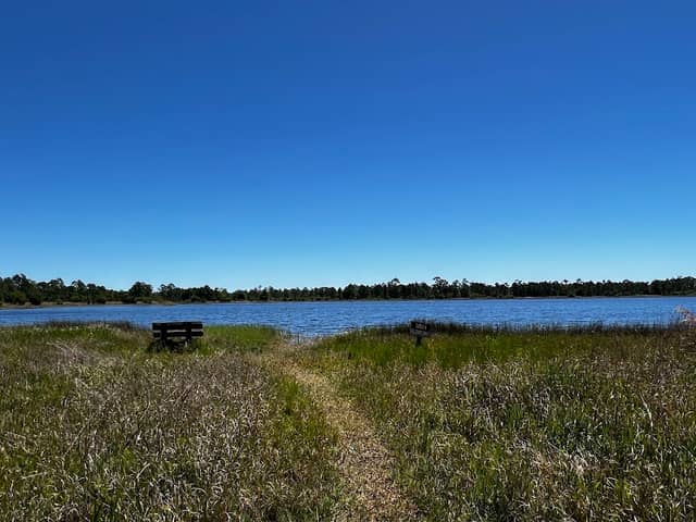 Highlands Hammock State Park, Seven Lakes Picnic Area - Image 2