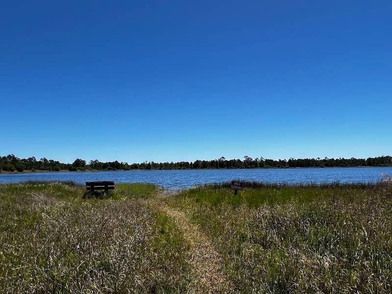 Highlands Hammock State Park, Seven Lakes Picnic Area - Image 2