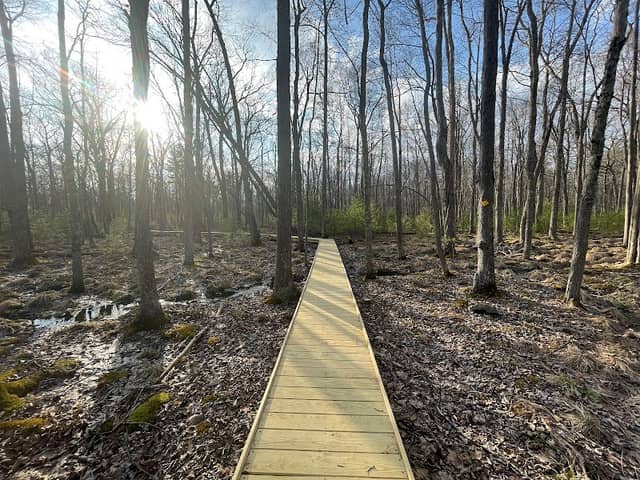 Path of Accumulation - Image 1
