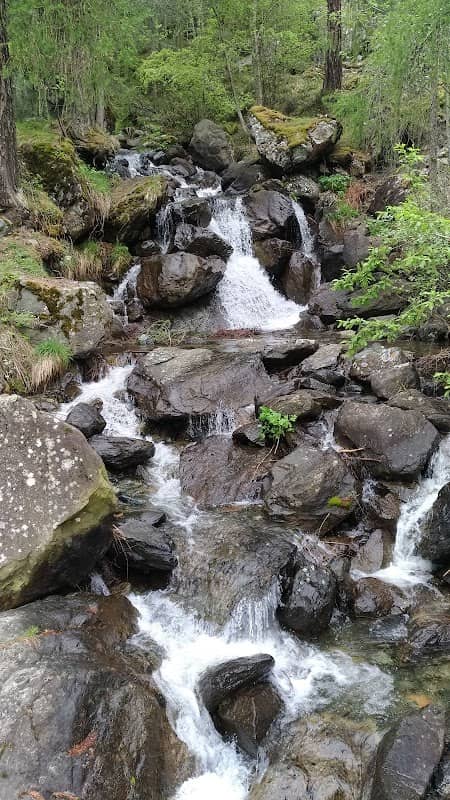 Pineta di Serleveggio - Image 1