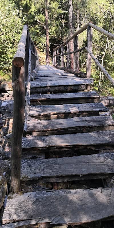 Pineta di Serleveggio - Image 3