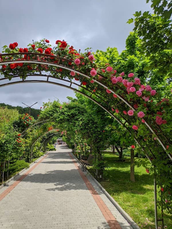 Abrau Durso Park - Image 1