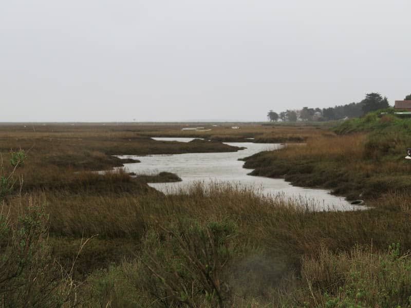 Norfolk's National Nature Reserves - Image 1