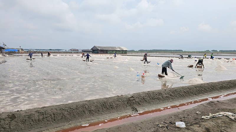 Salt Harvesting Farm - Image 1