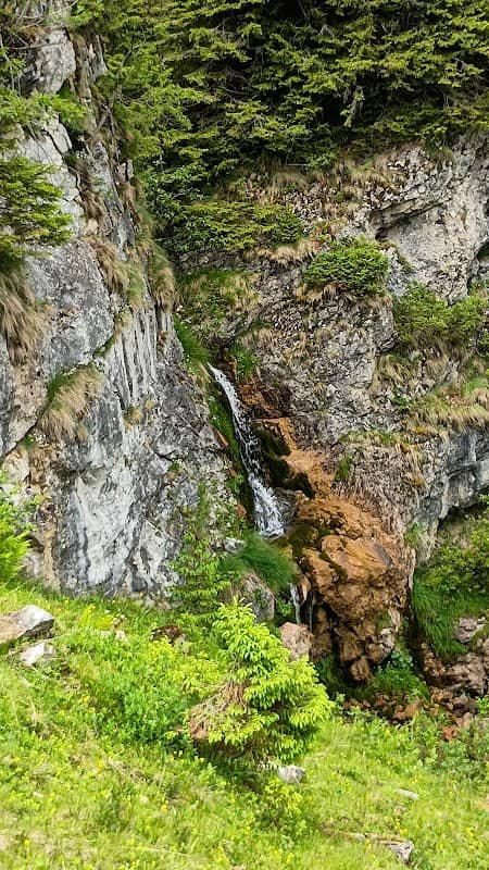 Cascada Stiol - Image 3