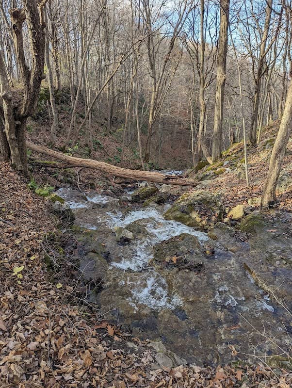Oxbow Park Madison County Park - Image 1
