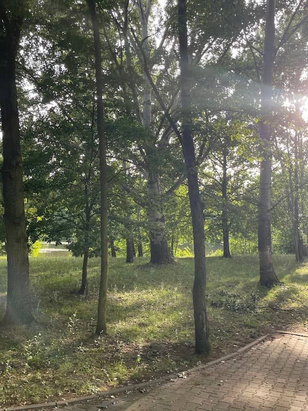 Park przy Kaczej Górce - Image 1