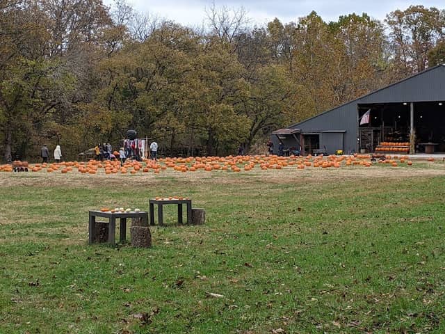 Mecca Farm - Image 1