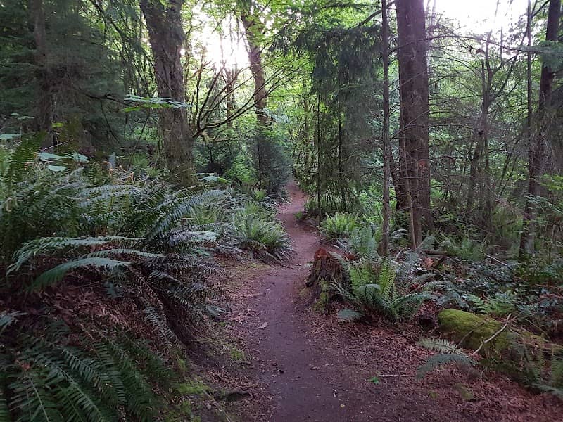 Pioneer Park - Image 2