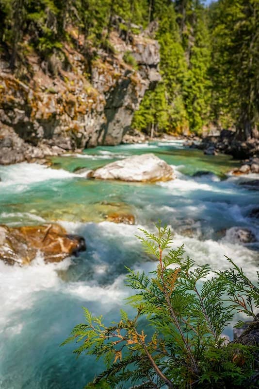 Pacific Crest Trail - Image 1