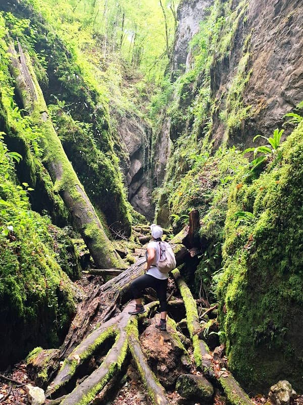 Sighiștel Canyon - Image 2