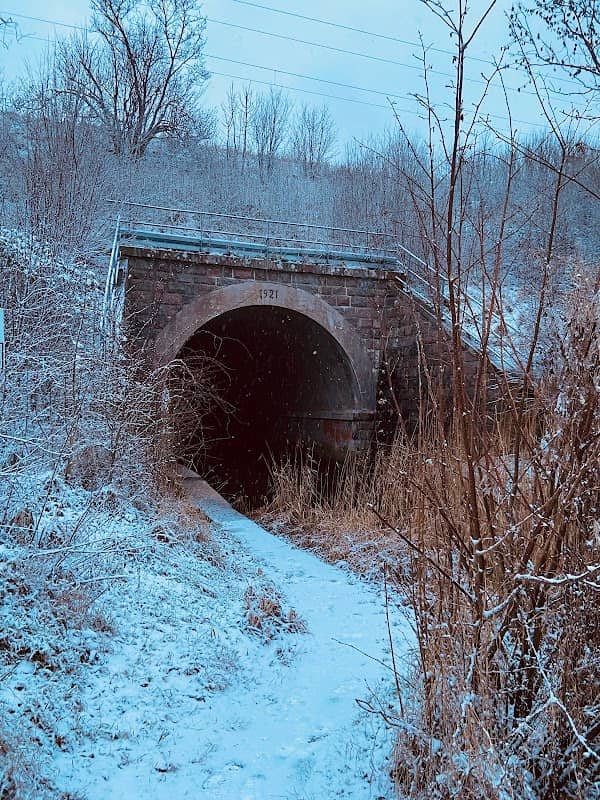 Hørningstientunnel - Image 1