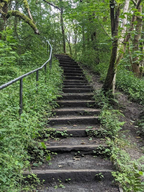 Monkland Canal Pathway - Image 1