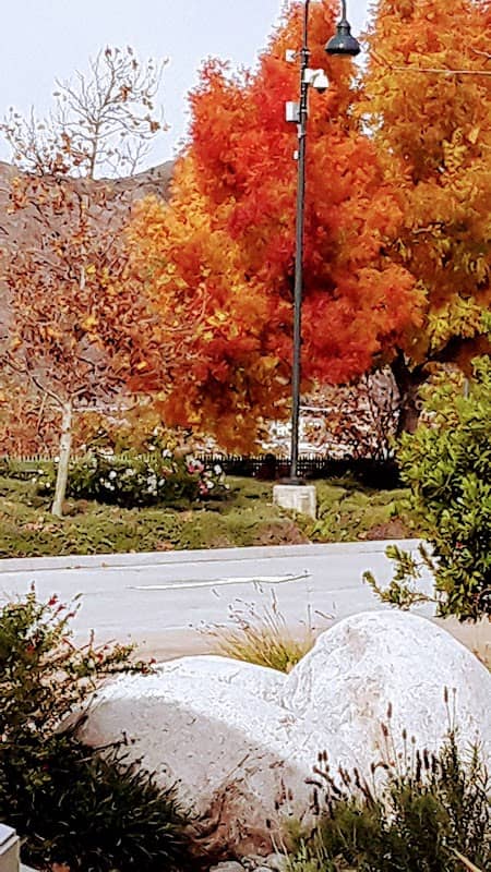 Lillian Eaton Park - Image 2
