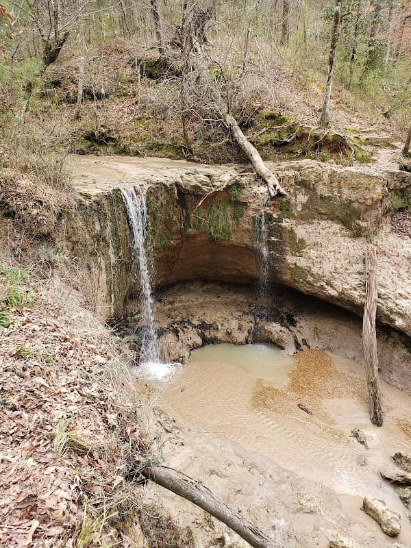 Clark Creek Natural Area - Image 3