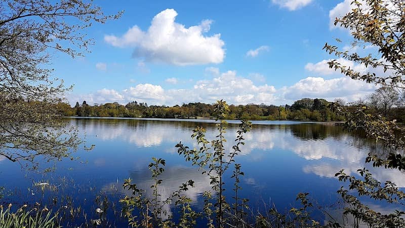 Allenhill Park - Image 2