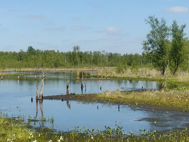 NSG Wittmoor - Image 1