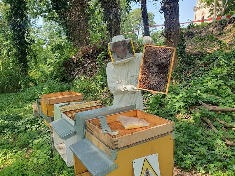 Apiario didattico Monte Rocca - Image 1