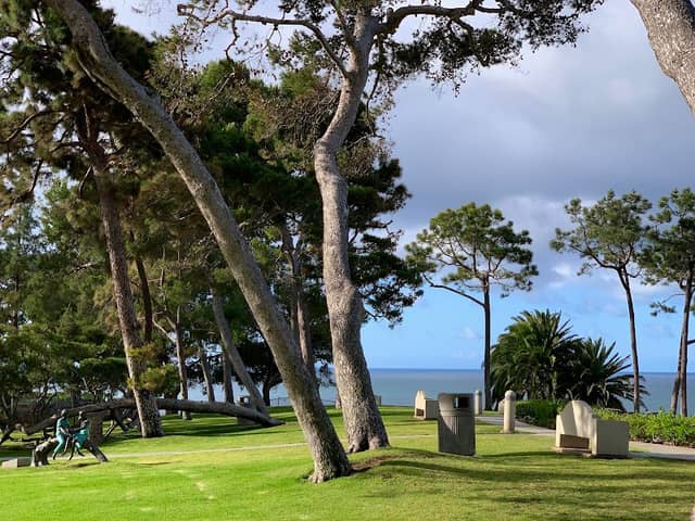 Pines Park - Image 4