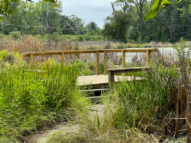 Carolyn Goetz Wetland Preserve - Image 2