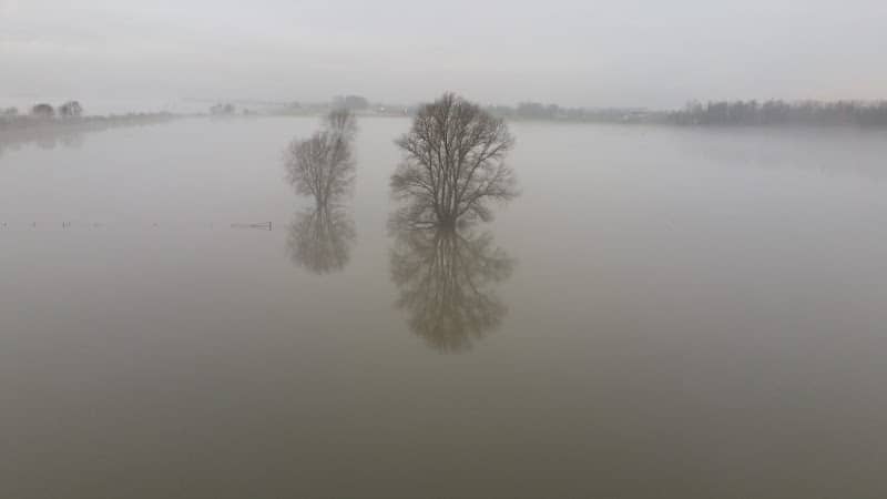 De Rijswaard - Image 2