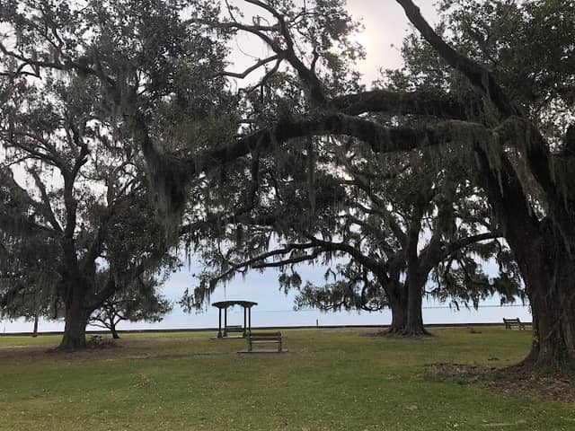 Mandeville Lakefront Splash Park - Image 1