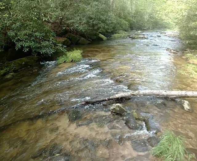 Harper's Creek Parking Area East - Image 1
