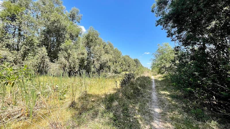 1185-Acre Wetland Mitigation Area - Image 2