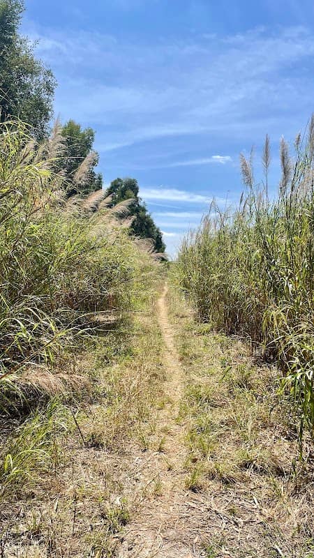 1185-Acre Wetland Mitigation Area - Image 1