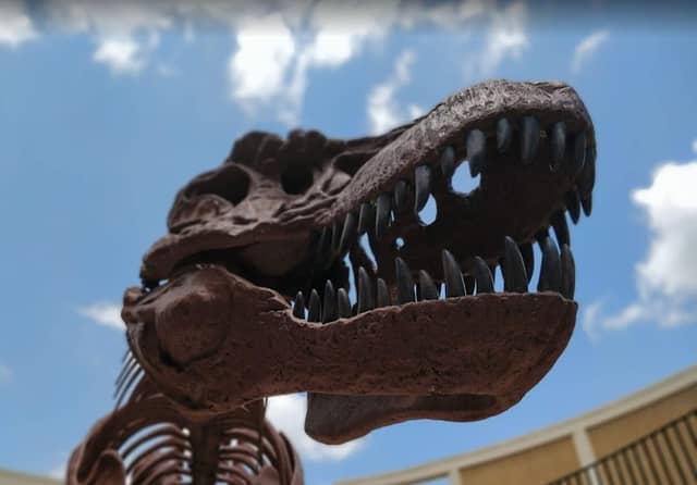 Dinosaur Science Museum and Research Center - Image 1