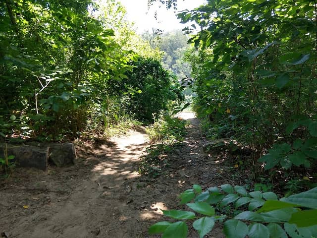 South Maumee Campground - Image 2