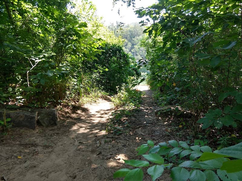 South Maumee Campground - Image 2