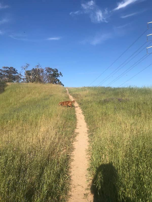 Coyote Den Ridge - Image 1