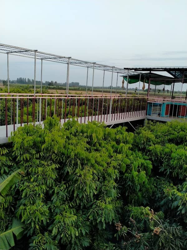 บ้านสวนเพชร - Image 1