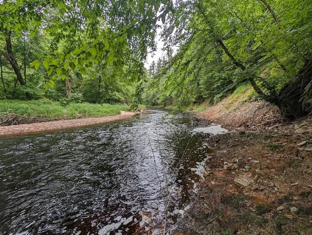 Upper Black River State Natural Area - Image 3