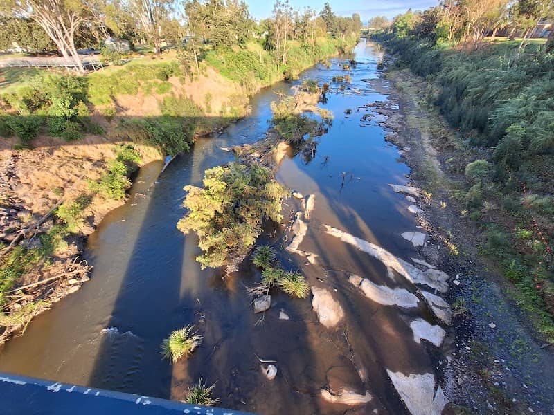 Platypus Pool and Rock Carvings - Image 2