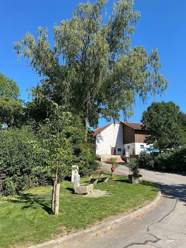 Dorflinde Ottersberg - Image 2
