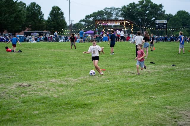 Temple Field - Image 1