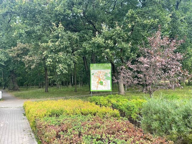 Park Rekreacji w Łazach - Image 1