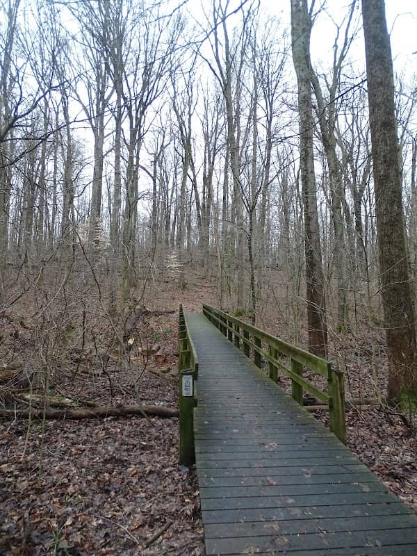 Short Loop Trail - Image 1