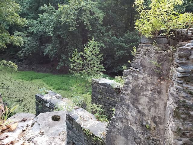 Shenandoah Canal - Image 3