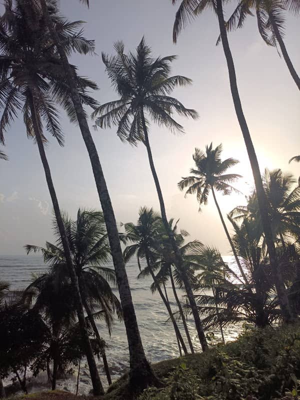 Rayarangoth beach - Image 1