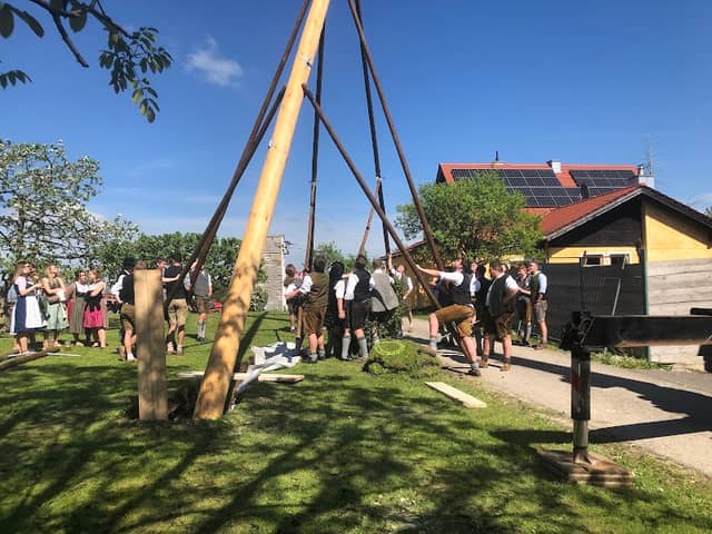 Berghamer Maibaum - Image 1