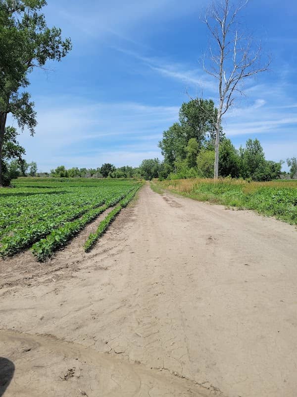Rush Bottoms Conservation Area - Image 2