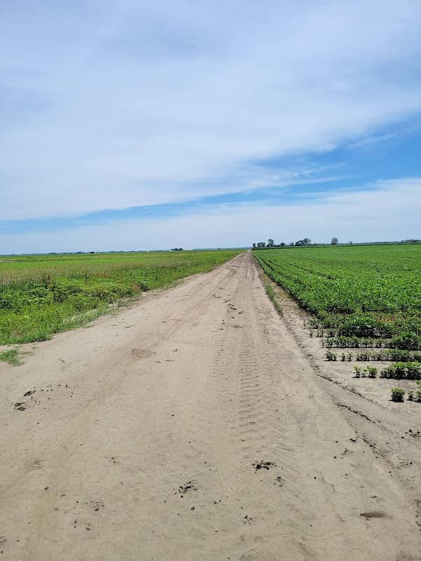 Rush Bottoms Conservation Area - Image 1