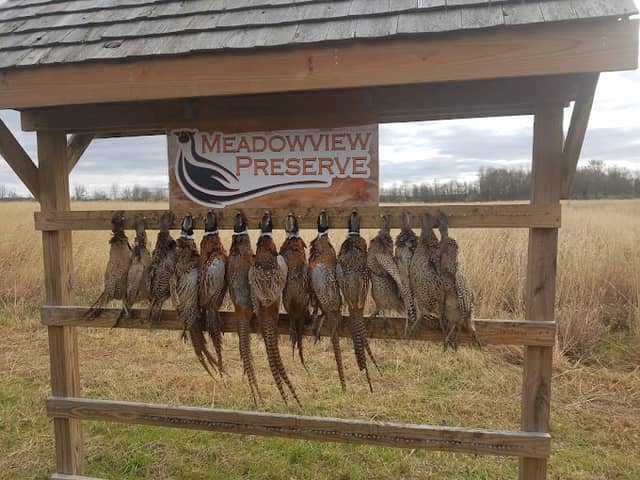 Meadowview Preserve - Image 1
