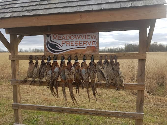 Meadowview Preserve - Image 1