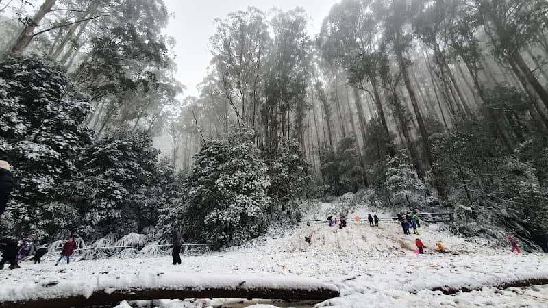 10 Mile Picnic Area - Image 1